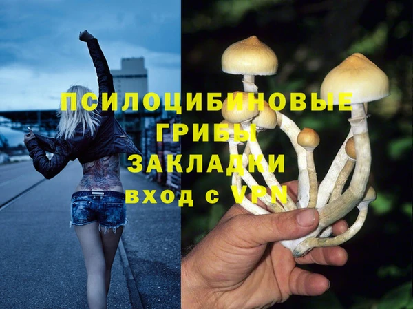 PSILOCYBIN Бугульма