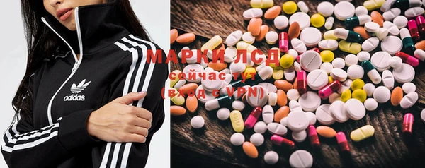 PSILOCYBIN Бугульма