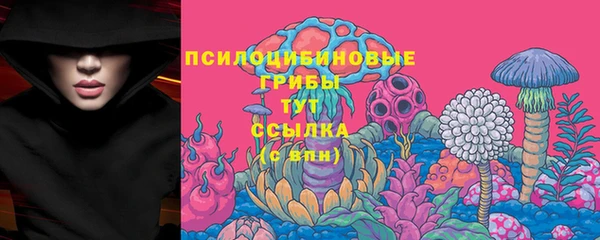 PSILOCYBIN Бородино