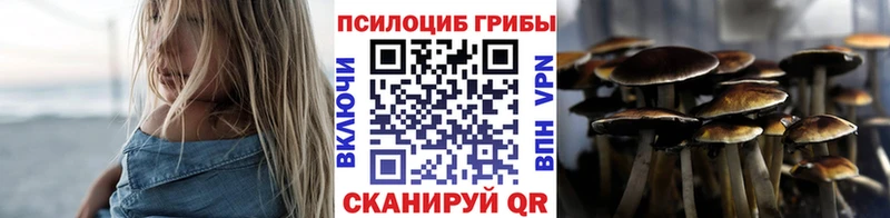 Купить закладки  Новотроицк  Псилоцибиновые грибы Magic Shrooms 